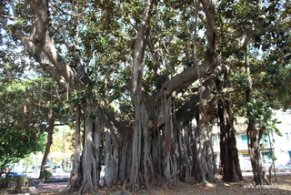 Villa Mazzini Messina